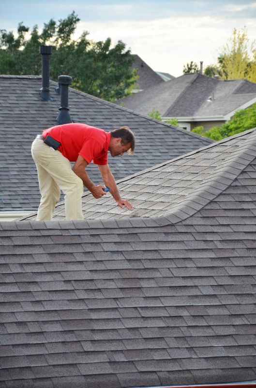 Professional Roof Inspection